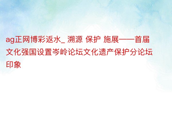 ag正网博彩返水_ 溯源 保护 施展——首届文化强国设置岑岭论坛文化遗产保护分论坛印象